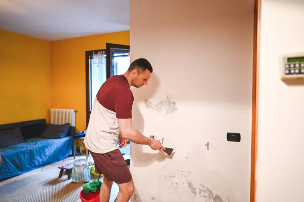 Best Emergency Mold Removal  in Pico Rivera, CA