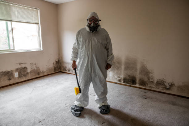 Best Fast Mold Removal  in Pico Rivera, CA